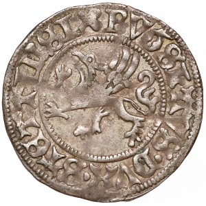 Pomorze, Bogusław X, Szeląg Szczecin 1505 - b. ładny