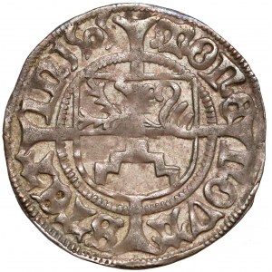 Pomorze, Bogusław X, Szeląg Szczecin 1505 - b. ładny