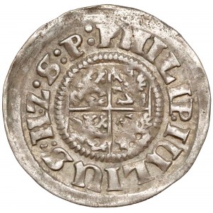 Pomorze, Filip Juliusz, Grosz Nowopole 1611