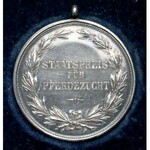 Staatspreis für Pferdezucht, Ausgabe 1890, Revers Deutsch, im Etui