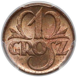 1 grosz 1923 - PCGS MS65 RD