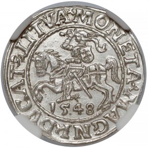 Zygmunt II August, Półgrosz Wilno 1548 - arabska - AVG/E - NGC MS63