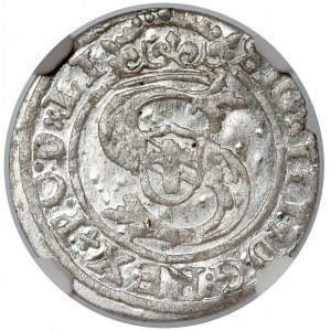 Zygmunt III Waza, Szeląg Ryga 1598 - NGC MS64