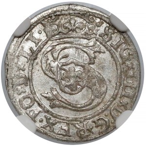Zygmunt III Waza, Szeląg Ryga 1599/8 - przebitka - NGC MS63