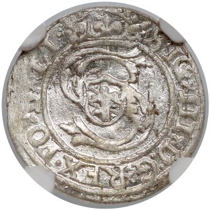 Zygmunt III Waza, Szeląg Ryga 1599/8 - przebitka - NGC MS64