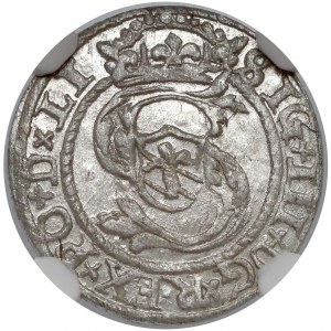 Zygmunt III Waza, Szeląg Ryga 1599 - NGC MS61