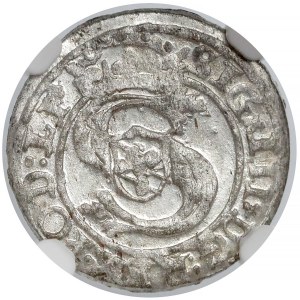 Zygmunt III Waza, Szeląg Ryga 1601 - PO.D:LI - NGC MS63