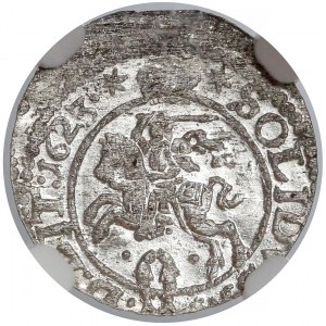 Zygmunt III Waza, Szeląg Wilno 1623 - kropki - NGC MS64