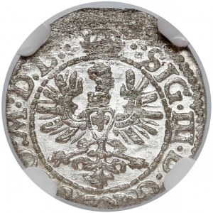 Zygmunt III Waza, Szeląg Wilno 1623 - kropki - NGC MS64