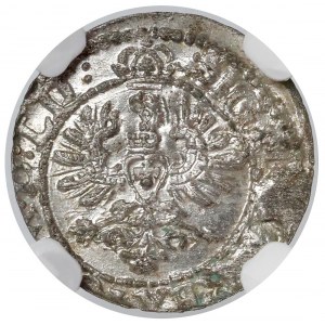 Zygmunt III Waza, Szeląg Wilno 1623 - kropka - NGC MS62