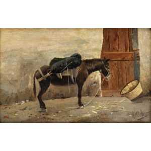 AUGUSTO CECCHI (XIX CENTURY), Donkey
