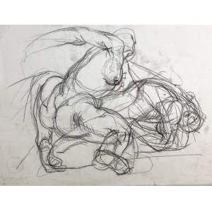 STAROWIEYSKI Franciszek - Anatomical sketch - 1980s