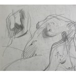 STAROWIEYSKI Franciszek - Anatomical sketch + composition - 1990s