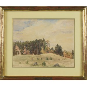 Jozef SZERMENTOWSKI, A Landscape with a Pine Forest