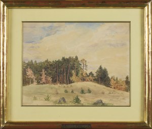 Jozef SZERMENTOWSKI, A Landscape with a Pine Forest