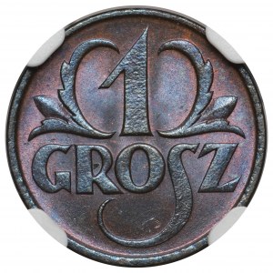 1 grosz 1925 - NGC MS66 BN - jedyny