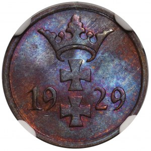 Wolne Miasto Gdańsk - 1 fenig 1929 - NGC MS65 BN