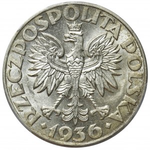 Żaglowiec 5 złotych 1936 - NGC AU58