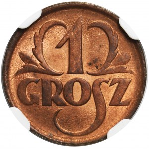 1 grosz 1925 - NGC MS66 RB 