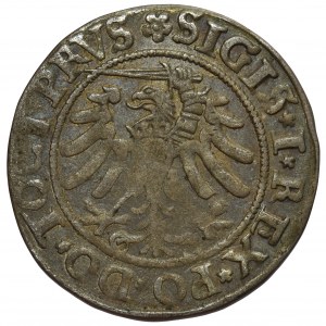 Zygmunt I Stary, Grosz Elbląg 1533 - PRVS