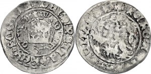 Bohemia 1 Gross 1471 - 1516 (ND)