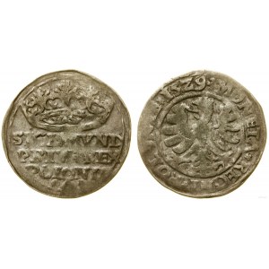 Poľsko, penny, 1529, Krakov