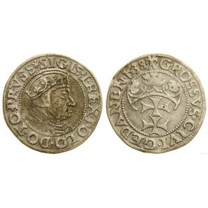 Poľsko, penny, 1538, Gdansk