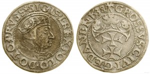 Poland, penny, 1538, Gdańsk