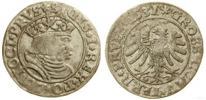 Polska, grosz, 1531, Toruń