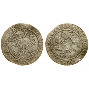 Polen, litauischer Halbpfennig, 1560, Vilnius