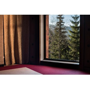 Karol Palka (nar. 1991), Fotografia s oknom 9 zo série Budova, 2015
