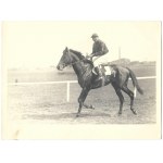 [KONIE - na torze wyścigów konnych - fotografie sytuacyjne]. [1943/1944]. Zestaw 4 fotografii form....