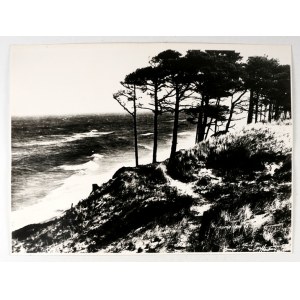 [MORZE - Ustka - mořské pobřeží - pohled na fotografii]. [l. 60. léta 20. století?]. Fotografie 28,2x37,...