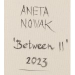 Aneta Nowak (nar. 1985, Zawiercie), Between II, 2023