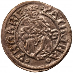 WĘGRY - Władysław II Jagiellończyk - denar 1512 KG
