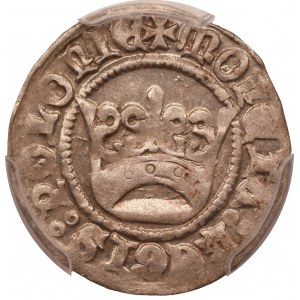 Aleksander Jagiellończyk ( 1501 - 1506) półgrosz, Kraków - PCGS AU58