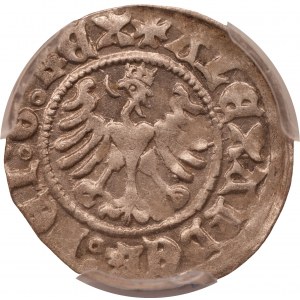 Aleksander Jagiellończyk ( 1501 - 1506) półgrosz, Kraków - PCGS AU58