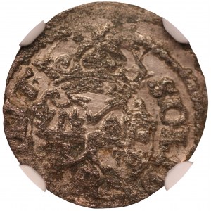 Zygmunt III Waza - szeląg Wilno 1619 - NGC MS60