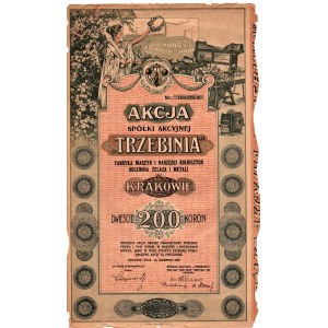TRZEBINIA - Kraków - 200 koron 1919 -