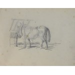 Piotr MICHAŁOWSKI (1800-1855), Skizzenbuch - Skizzen von Pferden, Rindern und anderen.