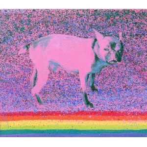 Malgorzata Lodygowska, Rainbow, 2018