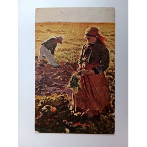 POSTKARTE POLNISCHE MALEREI WYCZÓŁKOWSKI GRABEN RÜBEN VORKRIEG