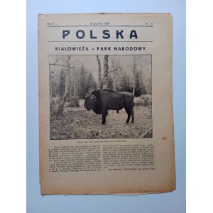 CZASOPISMO POLSKA, BIAŁOWIEŻA PARK NARODOWY, ŻUBR, GRUDZIEŃ 1935 R