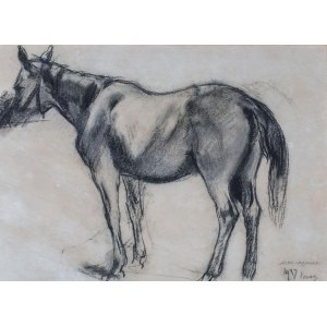 Józef CZAJKOWSKI, HORSE STUDIUM, 1937