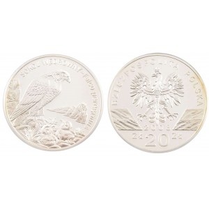 20 ZŁOTYCH, Sokół Wędrowny, 2008