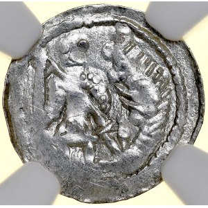 Bolesław III Krzywousty 1107-1138, Denar, Av.: Walka ze smokiem, Rv.: Krzyż o ramionach zakończonych kulami, między ramionami duże i małe kropki.