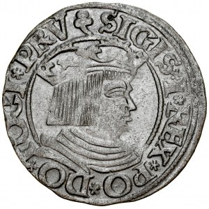 Sigismund I the Old 1506-1548, Grosz 1535, Gdansk. Inverted trifoliate on rv. RR
