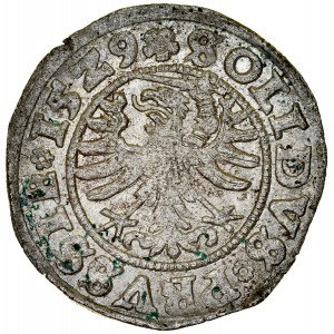 Zygmunt I the Old 1506-1548, Shelleg 1529, Torun.