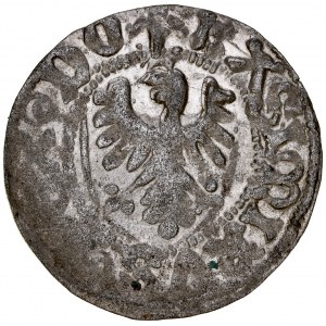 Kazimierz Jagiellończyk 1440-1492, Szeląg, Gdańsk.