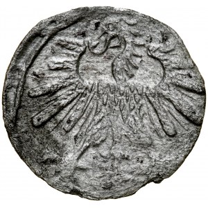 Zygmunt II August 1545-1572, Denar 1563, Wilno.